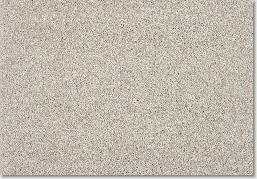 Epic Carpets Empathy 880 Pearl