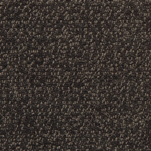 Epic Carpets Densa 173 Ash