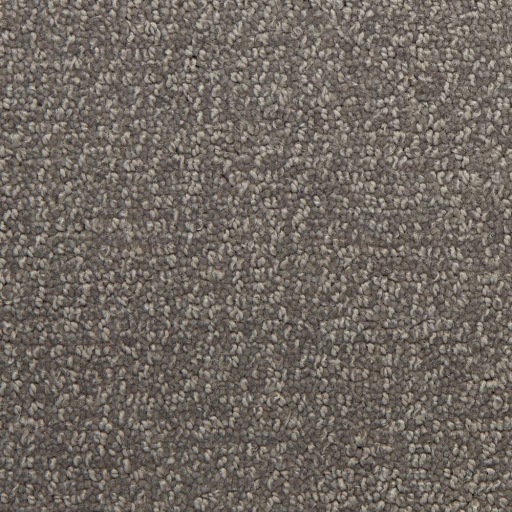 Epic Carpets Densa 179 Pigeon 