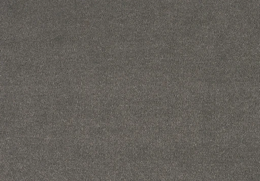 Epic Carpets Delight 830 Ash