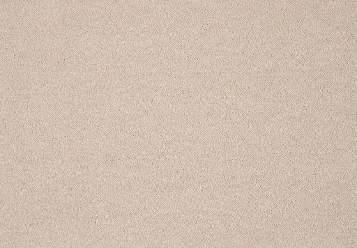 Epic Carpets Delight 250 Magnolia