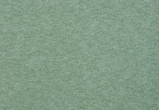 Epic Carpets Lolit 634 Willow 4